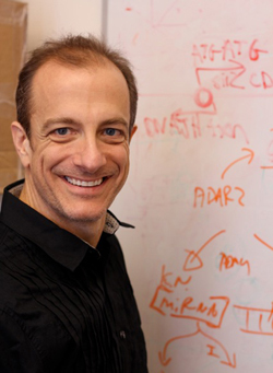 Robert Reenan. “We designed this molecular reporter to give us a fluorescent readout from living organisms.”